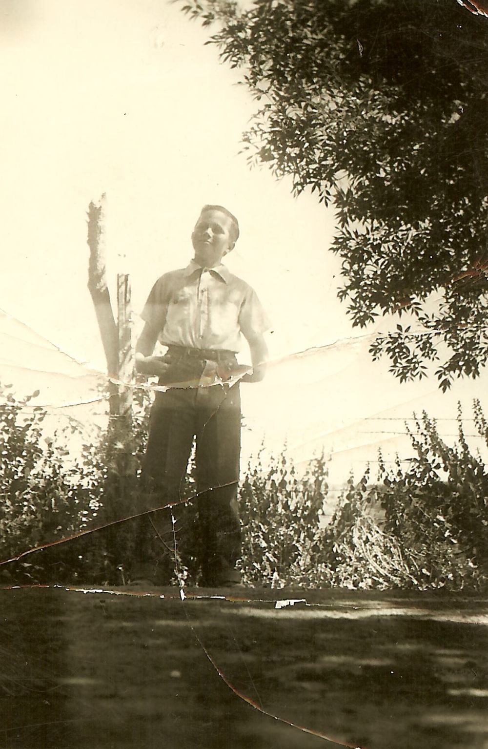 12238480_10208044155571152_4647665070797284392_o