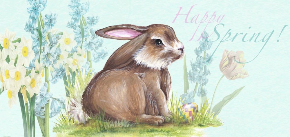 Happy Spring Bunny